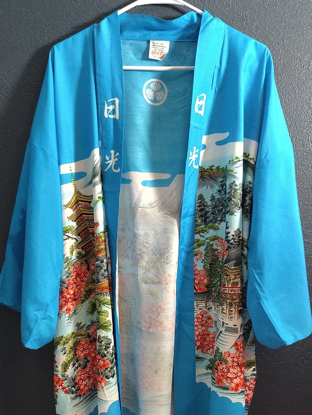 Vintage Japan Hand Print Turquoise Scenic Floral Japanese Yukata Kimono Lounge